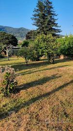 Terreno agricolo