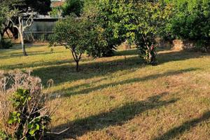 Terreno agricolo