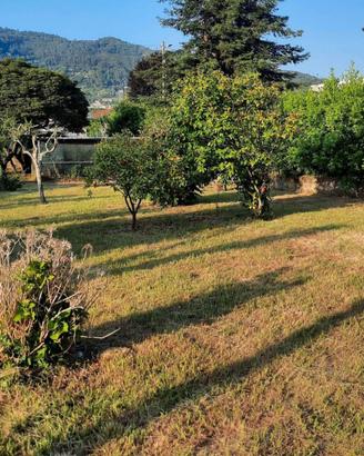 Terreno agricolo
