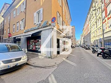 ARGENTERIA - 100 M² - VIA DELLE SETTE FONTANE 13/B