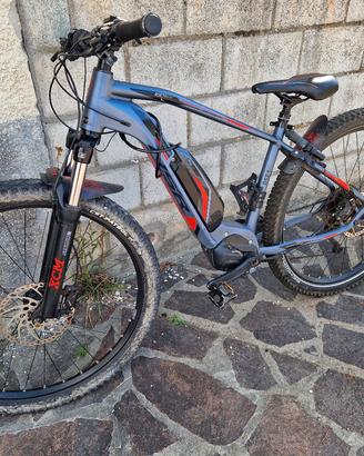 ebike Tecnobike 