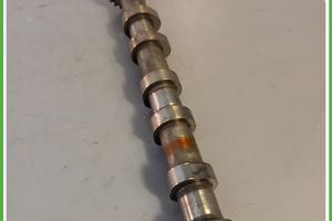 Albero a camme LAND ROVER DISCOVERY 3a Serie 276DT