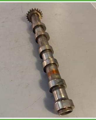 Albero a camme LAND ROVER DISCOVERY 3a Serie 276DT