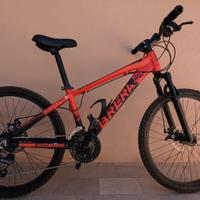 Mountain bike Brera