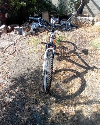 bicicletta Montana