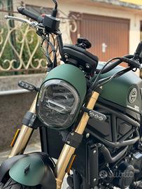 Benelli Leoncino 800