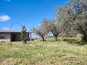 ricovero-attrezzi-con-ampio-terreno