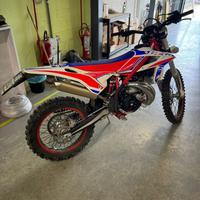 Beta Xtrainer 300 - 2022