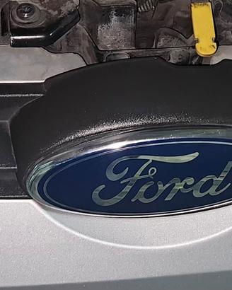 griglia superiore ford fiesta 6 serie