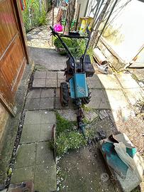 Motofalciatrice  Bertolini