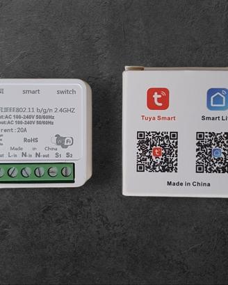 MINI Smart Switch WiFi Tuya/Smart Life 20A 