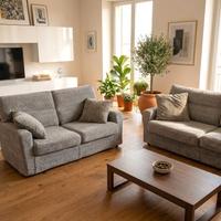 Due divani in vellutino