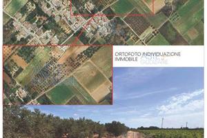 Terreno Agricolo Marsala [A4344214]