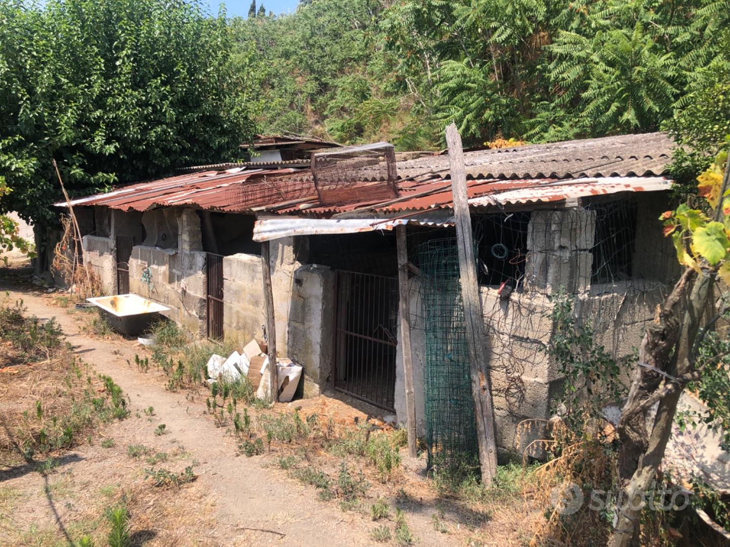 Due ruderi 1)200metri 2)100metri più terreno - Vista 4