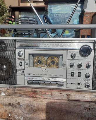 Boombox Daniel Sound DS 22
