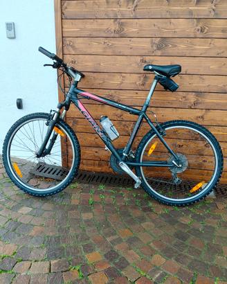 MTB giant