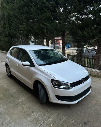 Polo.
