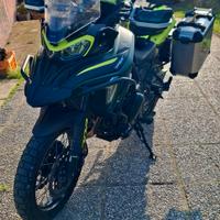 Benelli TRK 702X 2024