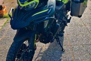 Benelli TRK 702X 2024