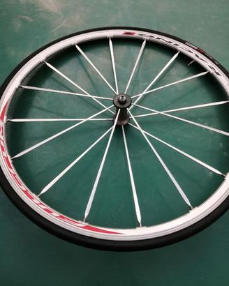 ruota anteriore FULCRUM racing 1