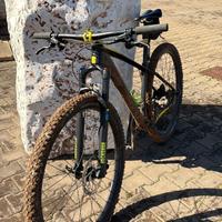 BICI MOUNTAIN BIKE MTB 29 HIBIKE CARBONIO