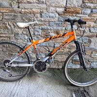 Bici arancione piccola