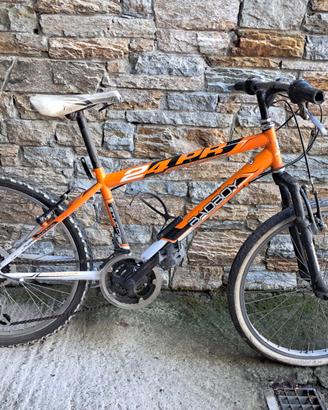 Bici arancione piccola
