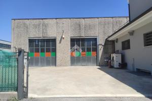 CAPANNONE A SAVIGNANO SUL RUBICONE