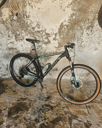 Bianchi Grizzly 29.2 con modificata