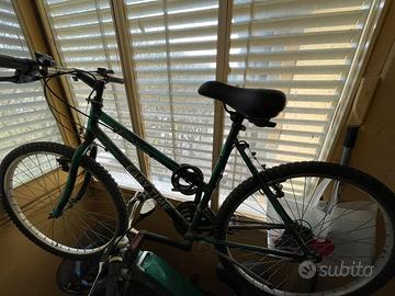 Bicicletta mountain bike