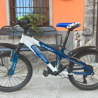 Bici 20”
