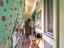 Immagine 26