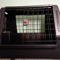Kennel Trasportino Cane
