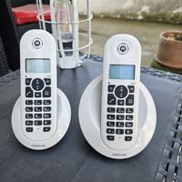 Coppia cordless Motorola