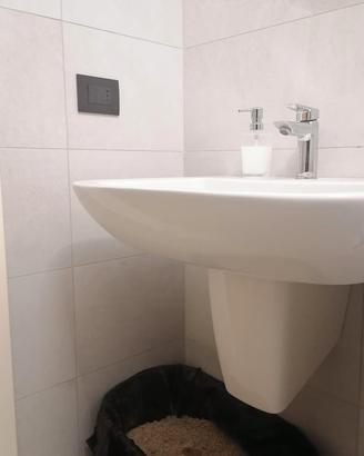COPPIA DI LAVANDINI Ideal Standard 