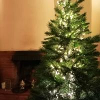 albero di natale 230 mt