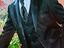 Immagine 2