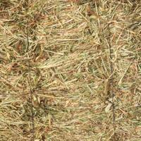 Balle con legatura di ferro