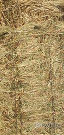 Balle con legatura di ferro