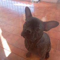 Solo per chi e interessato