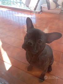 Solo per chi e interessato