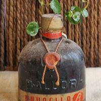 Mignon Prunella Ballor – Sigillo della Monarchia