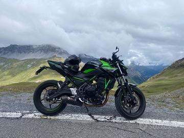 Kawasaki Z 650 - 2022