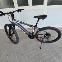 Ebike Whiste B Race  Bici elettrica