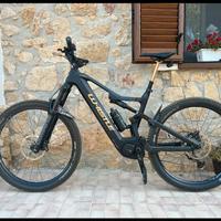 E-BIKE WISTLE 