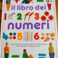 libro dei numeri 