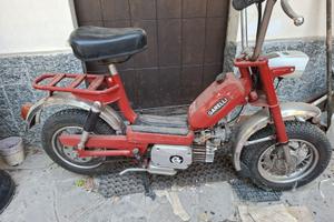 Garelli Katia  50