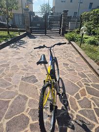 bicicletta carnielli per ragazzo