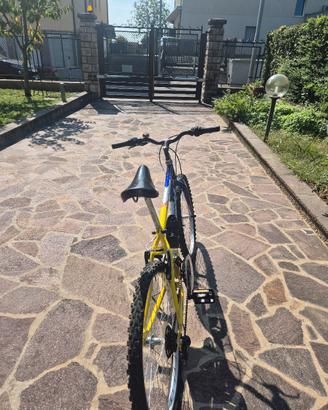 bicicletta carnielli per ragazzo