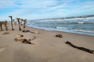 Appartamenti al piano terra al grezzo
